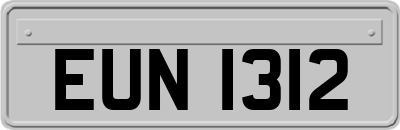 EUN1312