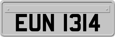 EUN1314