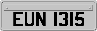 EUN1315