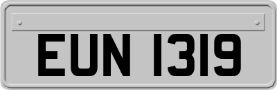 EUN1319