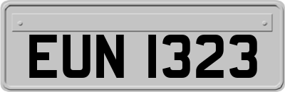 EUN1323