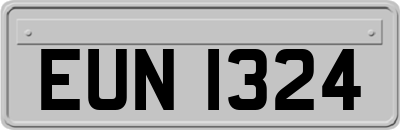 EUN1324
