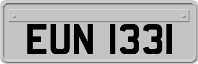 EUN1331