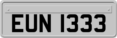 EUN1333