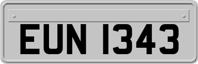 EUN1343
