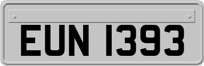EUN1393