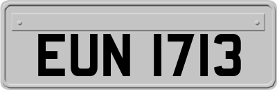EUN1713