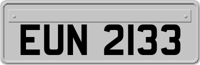 EUN2133