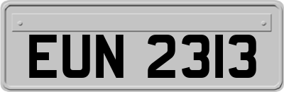 EUN2313