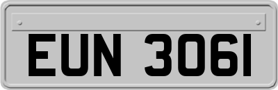 EUN3061