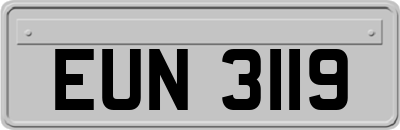 EUN3119
