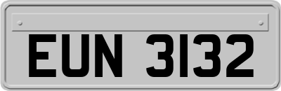 EUN3132
