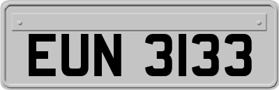 EUN3133