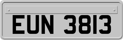 EUN3813