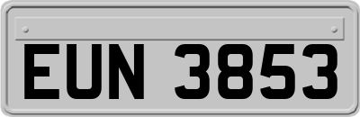 EUN3853