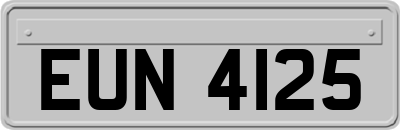 EUN4125