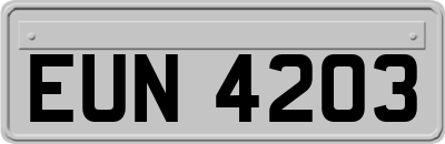 EUN4203