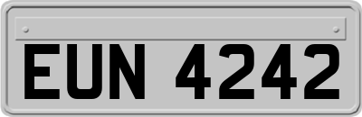 EUN4242