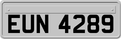 EUN4289