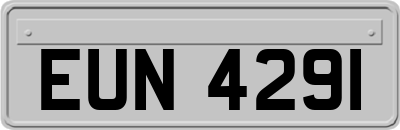 EUN4291