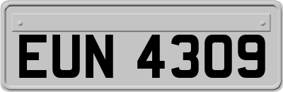 EUN4309