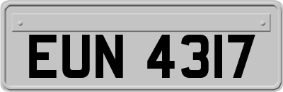 EUN4317