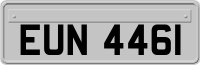 EUN4461