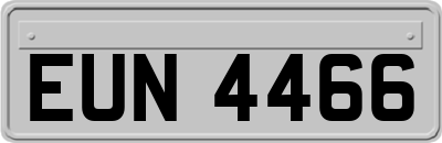 EUN4466