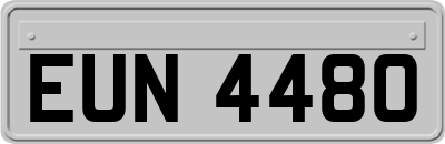 EUN4480