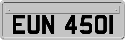 EUN4501