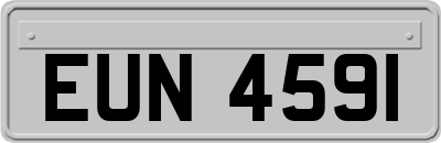 EUN4591