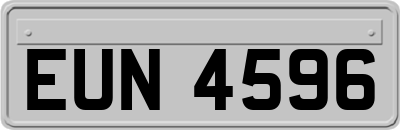 EUN4596