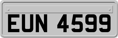 EUN4599