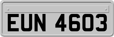 EUN4603