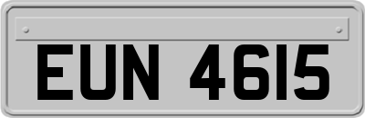 EUN4615