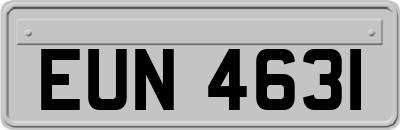 EUN4631