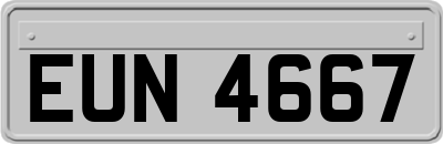 EUN4667