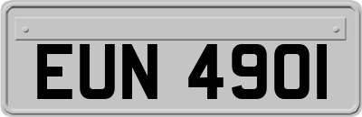 EUN4901