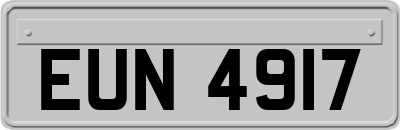 EUN4917
