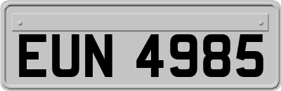 EUN4985