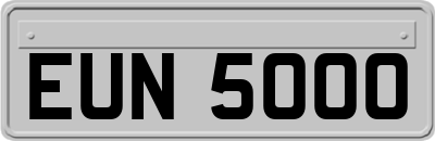 EUN5000