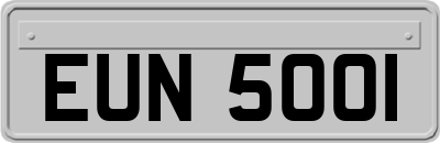 EUN5001