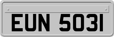 EUN5031