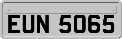 EUN5065