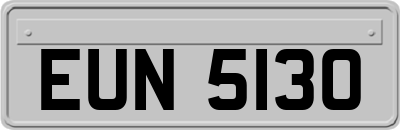 EUN5130