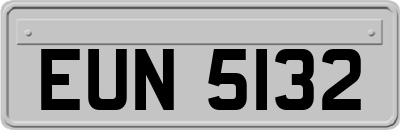 EUN5132