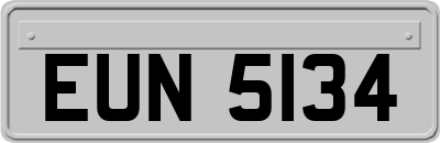 EUN5134