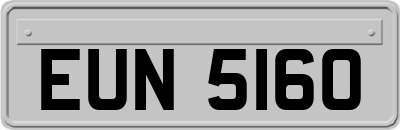 EUN5160