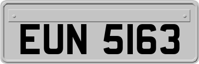 EUN5163
