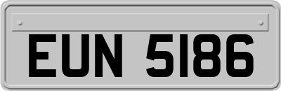 EUN5186